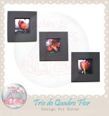 Trio Tulipas