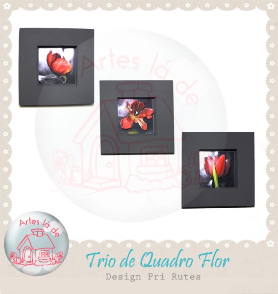 Trio Tulipas