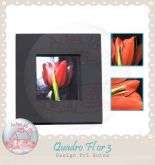 Flor Tulipa 003